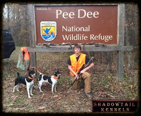 feist mountain squirrel dog kennels hunting